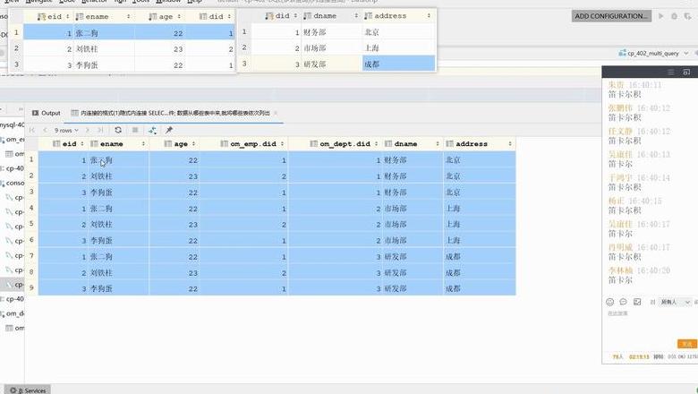 高效掌握SQLServer：查询表记录与字段数据类型详解