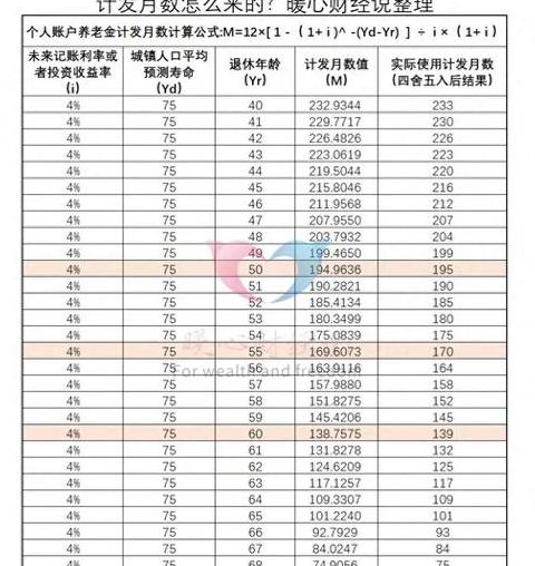 基金份额计算公式详解与运用