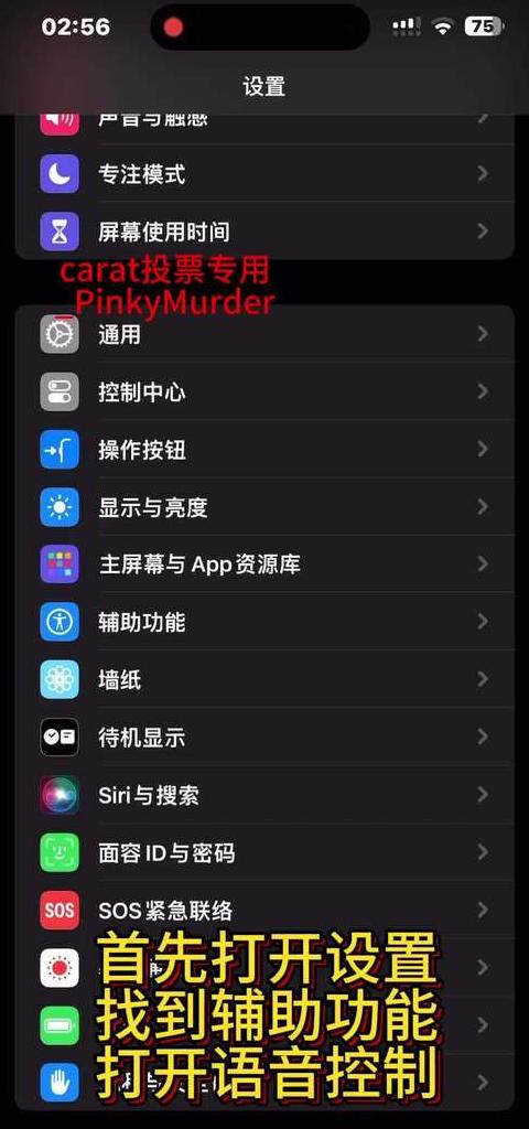 苹果手机设置4G优先及双卡流量管理指南