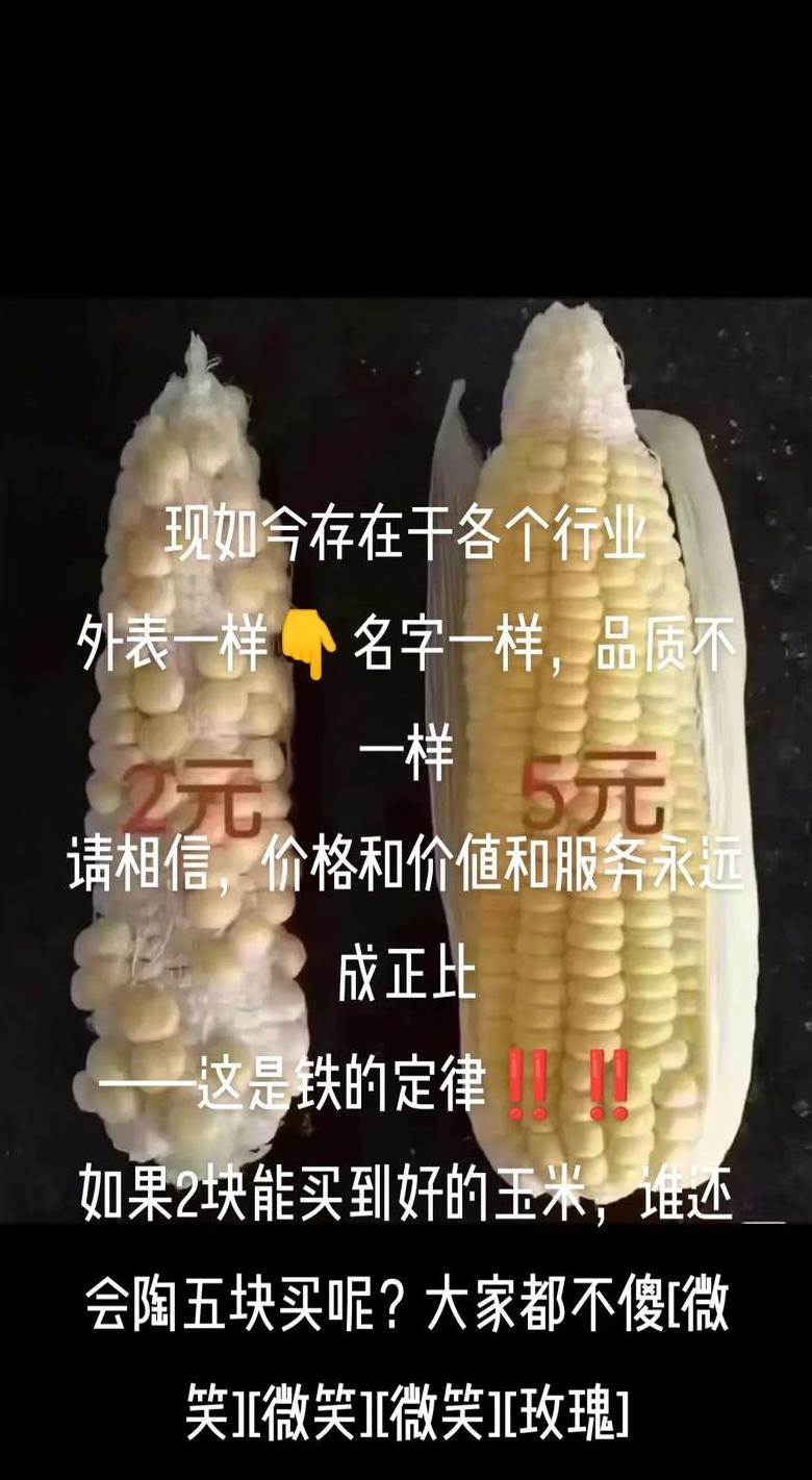 经典语句揭秘：低价背后的深层智慧