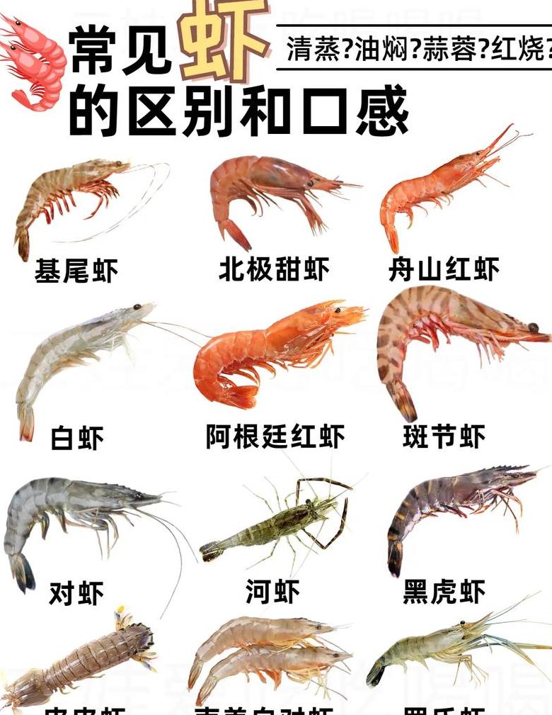 电脑GUID分区与MBR分区详解对比
