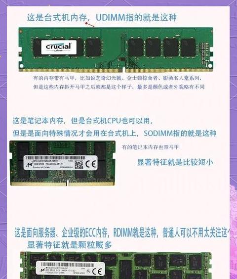 内存储器与外存储器：存储耐力与电源依赖对比