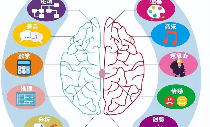 逻辑学基础四种基本逻辑定义解析