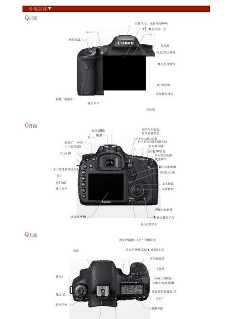 佳能EOS数码单反相机用户手册：全面指南与技巧解析